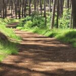 Private Upcountry Hiking Tour - Who should consider this tour?