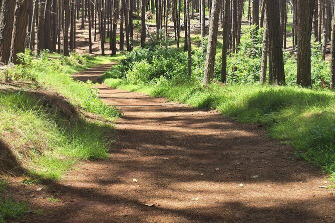 Private Upcountry Hiking Tour