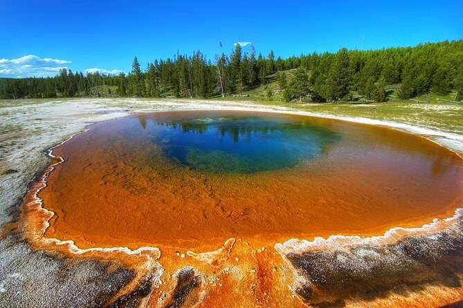 Private VIP Boutique Yellowstone Day Tour from Gardiner MT - Frequently Asked Questions