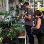 Private Walking Tour: Hong Kong Local Markets Hopper - Final Thoughts