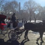 Private Walking Tour: Jewish Colonial History in New York City - The Value of a Private Tour