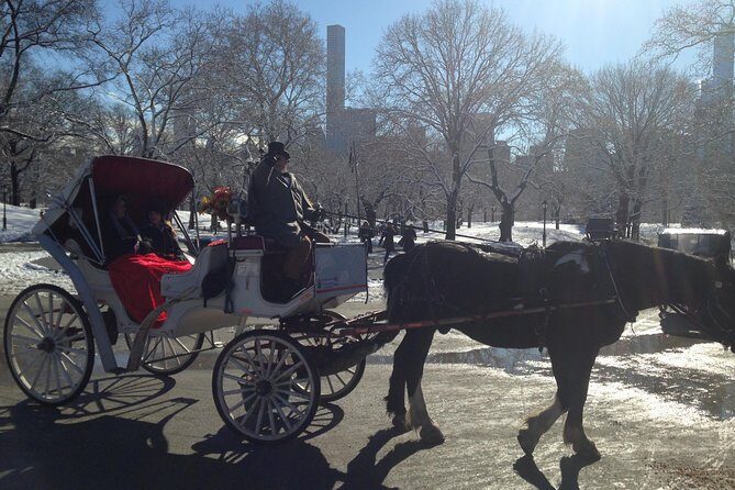 Private Walking Tour: Jewish Colonial History in New York City - The Value of a Private Tour