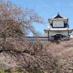 Private walking Tour of Kanazawa's Historical Districts 4h - Who This Tour Is Best For