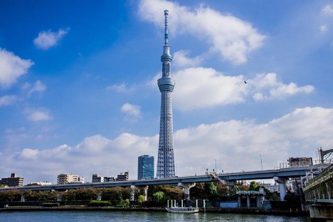 Private Walking Tour of Tokyo with a water bus ride - Practical Details and Tips