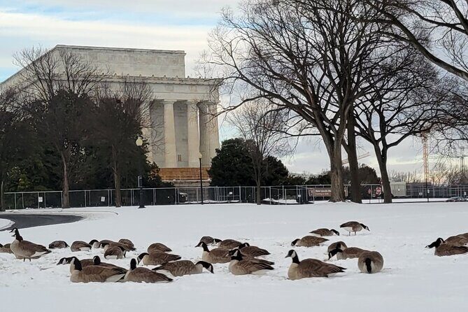 Private Washington DC Tour with Changing of the Guard Ceremony - Who Is This Tour Best For?
