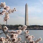 Private Washington Monuments Tour - Why Travelers Love This Tour