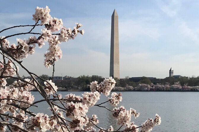 Private Washington Monuments Tour - Why Travelers Love This Tour