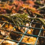 Private West Passage Oyster Tasting Aquaculture Tour - Practical Details: What You Should Know