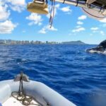 Private Whale Watching Adventure - Who Will Love This Tour?