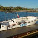 Private Whale Watching in San José del Cabo - Is This Tour Worth the Price?