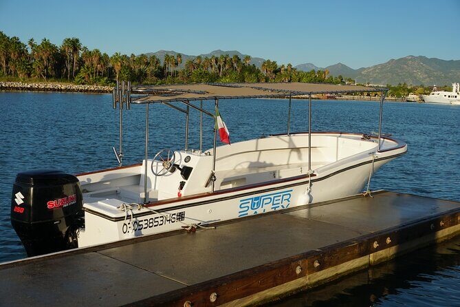 Private Whale Watching in San José del Cabo - Is This Tour Worth the Price?