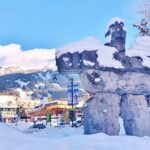 Private Whistler Tour: Discover the best of Whistler! - Who Should Consider This Tour?
