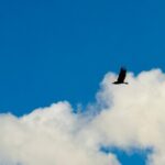 Private Whittier Cruise Transfer & Scenic Tour for Large Groups - The Authentic Experience: Authenticity, Convenience, and Value