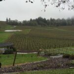 Private - Willamette Valley Wine Tour From Portland (tasting fees included) - Price and Value Analysis