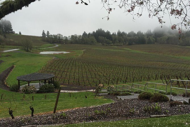 Private - Willamette Valley Wine Tour From Portland (tasting fees included) - Price and Value Analysis