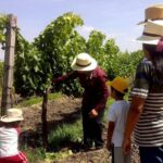 Private wine tasting & wine pairing tours - Frequently Asked Questions