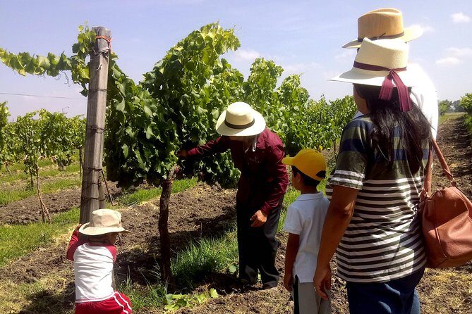 Private wine tasting & wine pairing tours - Frequently Asked Questions