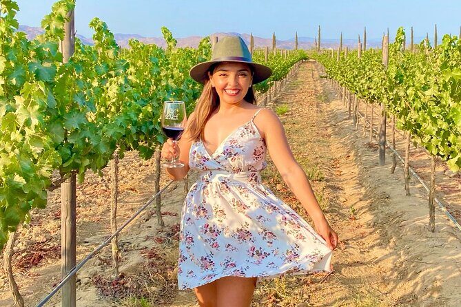 Private Wine Tour at Valle de Guadalupe (A wine tasting included).