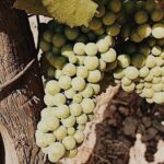 Private Wine Tour for 1-5 People in Oregon - Is this tour right for you?