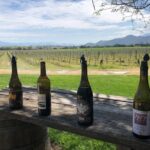 Private Wine Tour from the Santa Ynez Valley - Authentic Experiences and Genuine Reviews