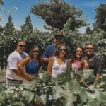 Private Wine Tour in Paso Robles - An In-Depth Look at the Itinerary and Experience