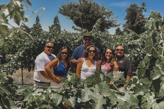 Private Wine Tour in Paso Robles - An In-Depth Look at the Itinerary and Experience