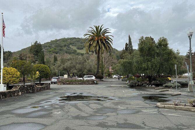 Private Wine Tour of Napa and Sonoma - Who Should Consider This Tour?