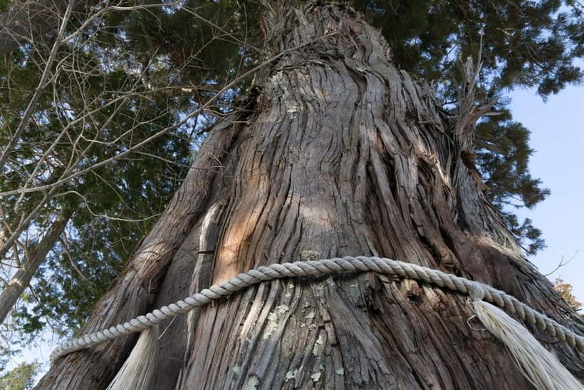 Private Winter Togakushi Tour: Snow, Shrine, & Cedar Trees - A Detailed Look at the Togakushi Winter Tour