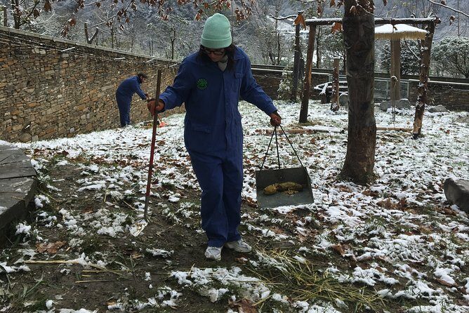 Private Wolong Panda Base and Earthquake Site Day Tour - Traveling to Yingxiu: The Earthquake Center