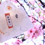 Private Workshop - Handmade Traditional Japanese Paper, Ueno - Authenticity and Craftsmanship