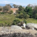 Private Xihuacan Archaeological Tour - The Sum Up