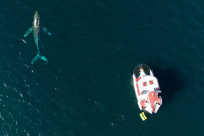 Private Yacht Charter ChicaFUN 3 Waterslides All Inclusive - Why This Tour Is Worth Considering