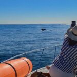 Private Yacht, Snorkeling or Sunset in Cabo San Lucas - What’s Included and What’s Not