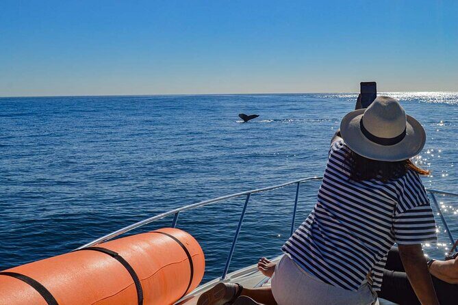 Private Yacht, Snorkeling or Sunset in Cabo San Lucas - What’s Included and What’s Not