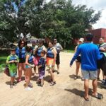 Progreso All-Inclusive Cenote swim Shore Excursion - The Tour Itinerary in Detail