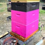 Promise Land Bee Farm Private Tour in Charleston - Why This Tour Offers Real Value