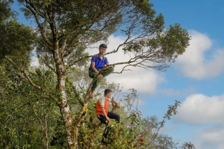 Pu Luong 2 Days 1 Night - Trekking, cloud hunting - Possible Drawbacks and Considerations