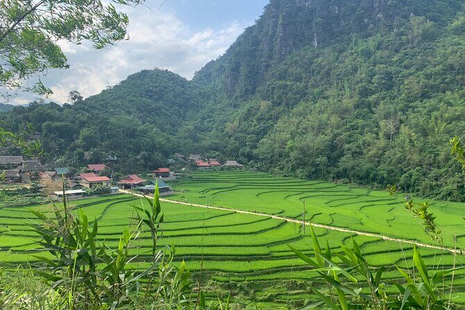 Pu Luong - Ninh Binh - Halong Bay 6 days - Why this tour is worth considering