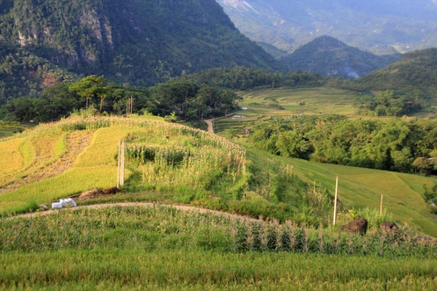 Pu Luong Offbeat Trekking Tour 2 days 1 night with Limousine - Getting There and First Impressions