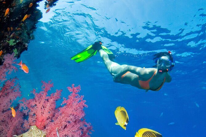 Puerto Morelos Catamaran Reef Sail and Snorkel - Frequently Asked Questions (FAQs)