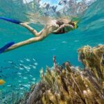 Puerto Morelos Reef Snorkeling Tour with Lunch & Hotel Pickup - Authentic Experiences and Authentic Reviews