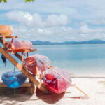 Puerto Princesa: Cowrie Island Guided Day Tour with Meal - Why We Think This Tour Works Well