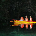 Puerto Princesa Firefly Watching (shared tour) - An In-Depth Look at Puerto Princesa Firefly Watching Tour
