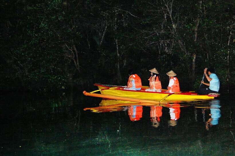 Puerto Princesa Firefly Watching (shared tour) - An In-Depth Look at Puerto Princesa Firefly Watching Tour