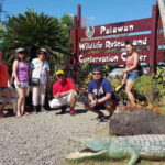 Puerto Princesa; Half day City tour - Exploring Puerto Princesa: What the Tour Offers