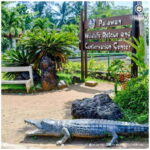 Puerto Princesa Half Day City Tour (shared tour) - Exploring Puerto Princesa in a Nutshell