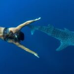 Puerto Princesa: Swim with Whale Sharks Boat Cruise - A Closer Look at the Puerto Princesa Whale Shark Tour