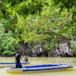 Puerto Princesa Underground River Tour in Palawan - What Makes This Tour Stand Out?
