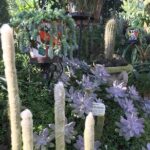 Puerto Vallarta Botanical Garden Tour with University Biologist - The Sum Up