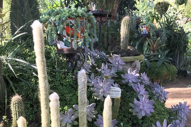 Puerto Vallarta Botanical Garden Tour with University Biologist - The Sum Up